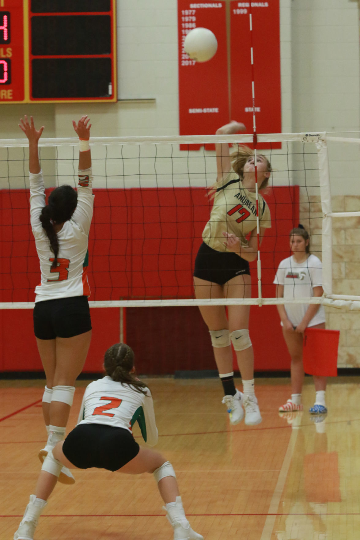 Gallery: Girls volleyball - Wheeler at Andrean